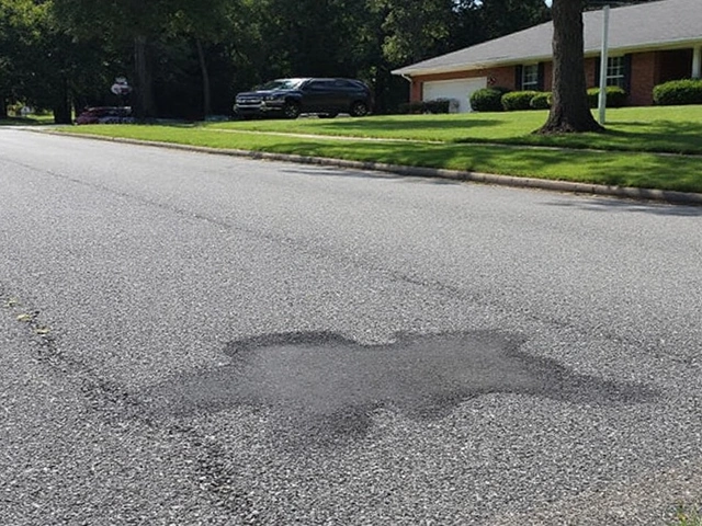 Perry Hall burnt fawn case: Five charged after baby deer set on fire in street